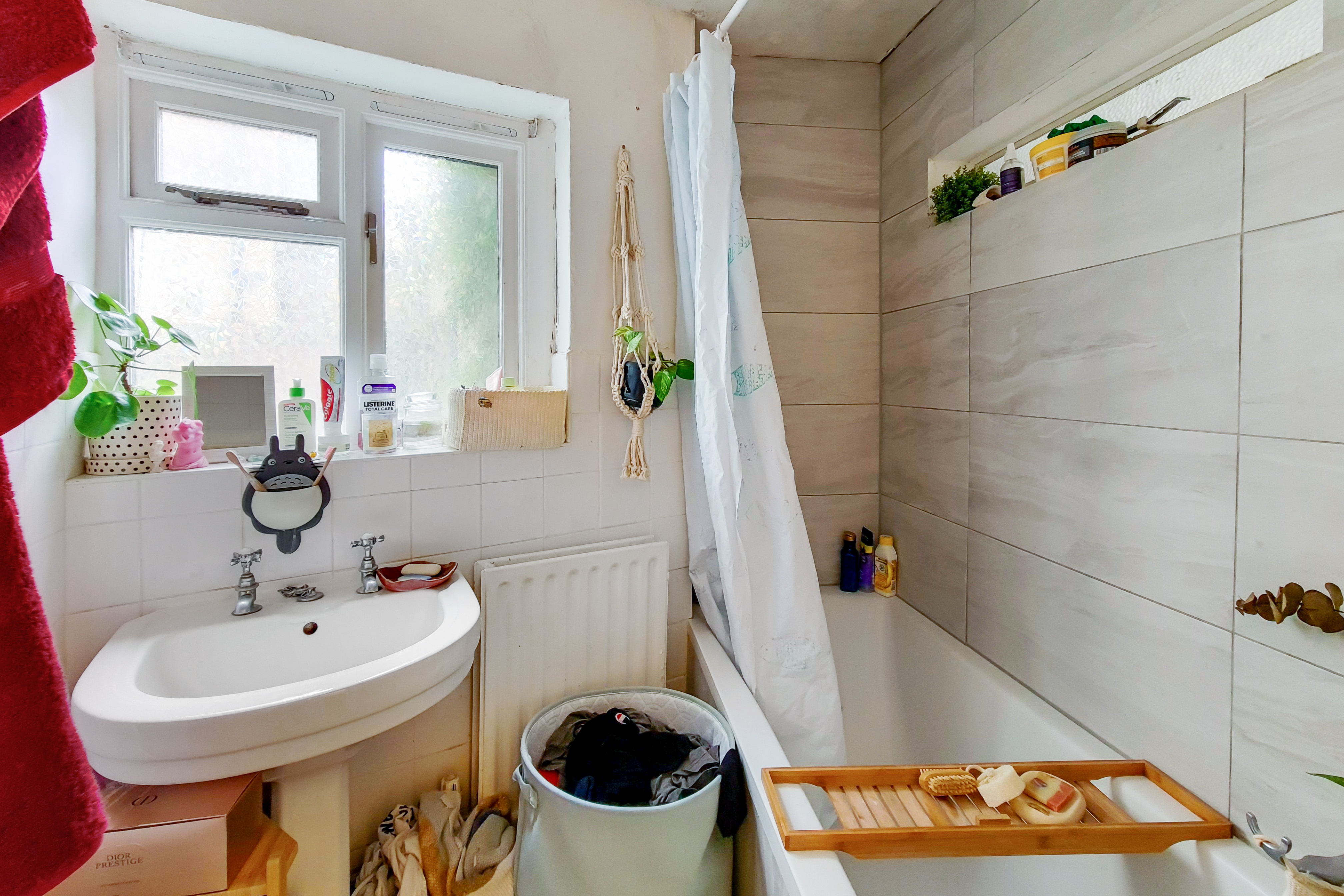 Image of the Basement Flat